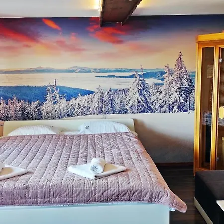 Vista & Sauna *