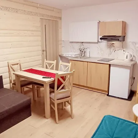 Vista & Sauna Daire Zakopane