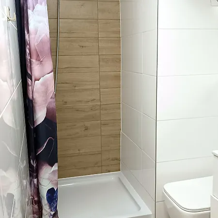 Vista Apartamenty&sauna * Zakopane