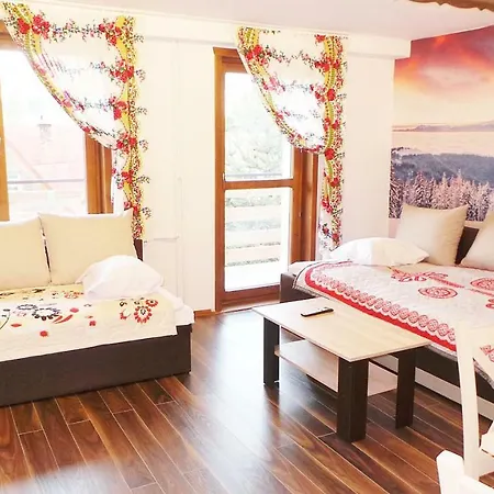 Vista & Sauna Apartment