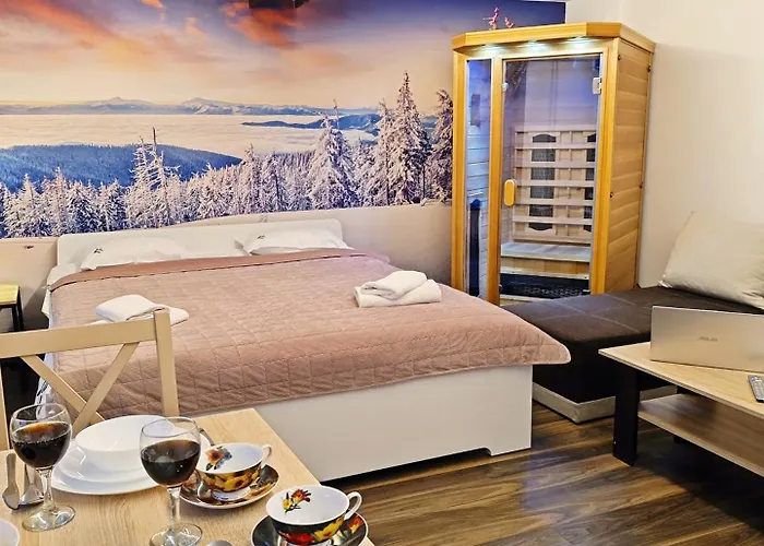 Vista & Sauna 公寓 扎科帕内